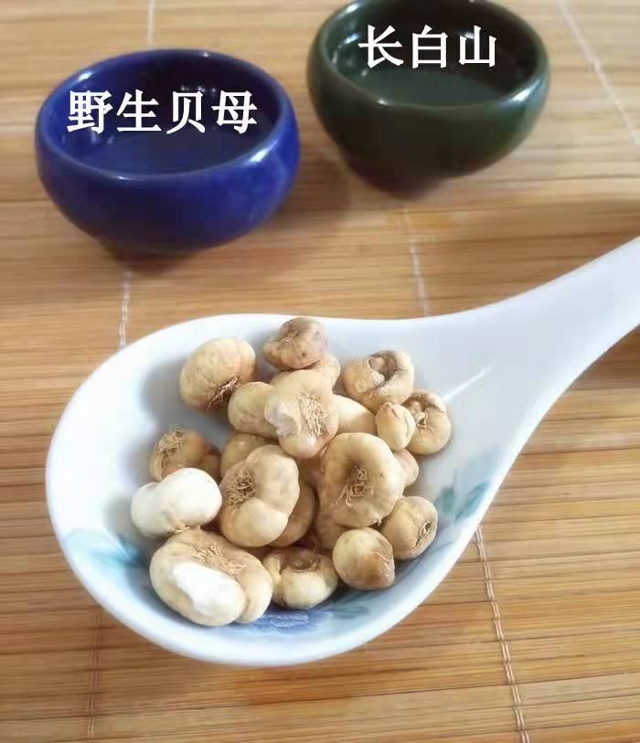 長白山野生貝母